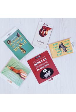 Copertă produs Cum să-ți dai seama dacă pisica ta plănuiește să te omoare