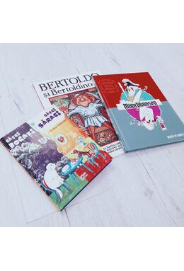Copertă produs Bertoldo și Bertoldino