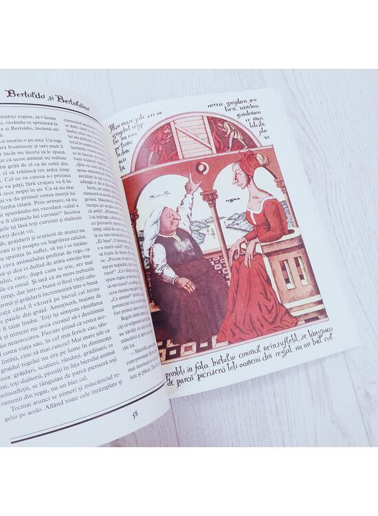 Copertă produs Bertoldo și Bertoldino - gallery big 6