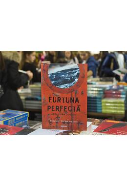 Copertă produs Furtuna perfectă